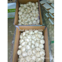 6.0cm garlic 10 kg carton pure white garlic for Brazil